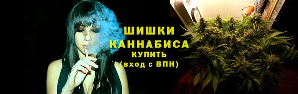 PSILOCYBIN Медногорск