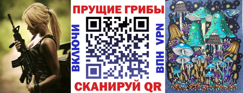 Галлюциногенные грибы Psilocybe  где купить   Калининград 