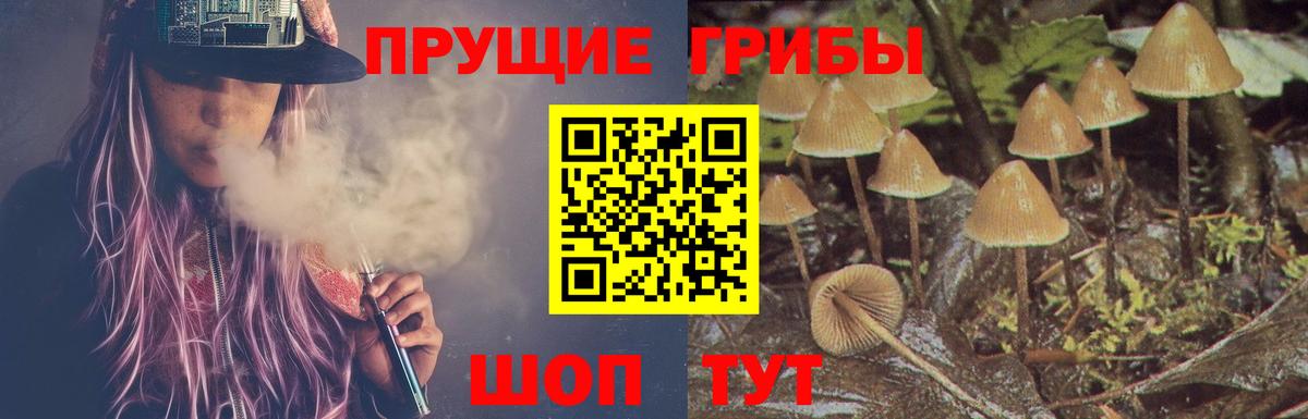 Калининград  Псилоцибиновые грибы MAGIC MUSHROOMS  Вход с VPN  Псилоцибиновые грибы Cubensis 