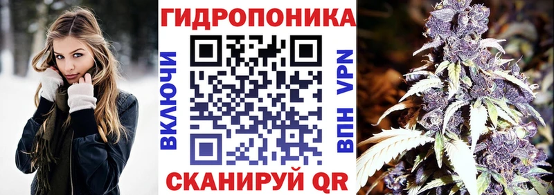 купить наркотик  Калининград  Каннабис конопля 